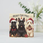 3 dogs Greeting Card Kaart (Staand voorkant)