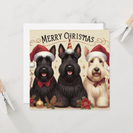 3 dogs Greeting Card Kaart (Voorkant / Achterkant in situ)