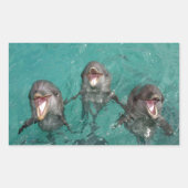 3 Dolfijnen Rechthoekige Sticker (Voorkant)