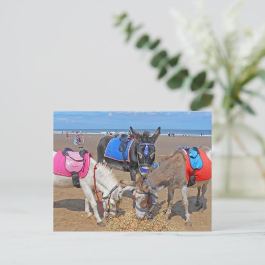 3 Donkeys Briefkaart (Staand voorkant)