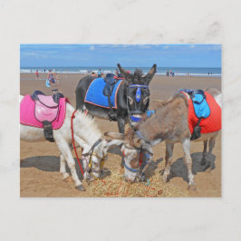 3 Donkeys Briefkaart
