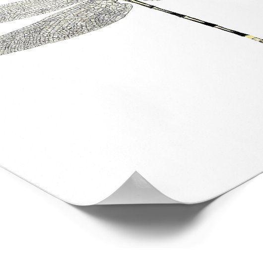 3 Dragonfly Art Poster (Hoek)