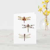 3 Dragonvliegen Kaart (Gele Bloem)