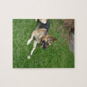 3 duitse herderderderleg.png legpuzzel (Horizontaal)