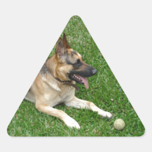 3 duitse herderderderleg.png sticker