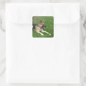 3 duitse herderderderleg.png vierkante sticker (Tas)