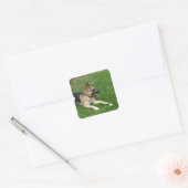 3 duitse herderderderleg.png vierkante sticker (Envelop)