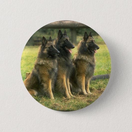 3-Duitse herders Ronde Button 5,7 Cm (Voorkant)