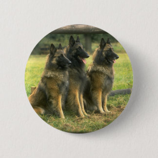 3-Duitse herders Ronde Button 5,7 Cm
