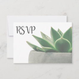 3 Entree Choice Modern Green Succulent RSVP