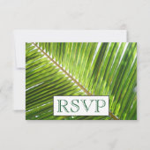 3 Entree Tropical Palm Tree Menu RSVP Weddenkaart Kaart (Voorkant)