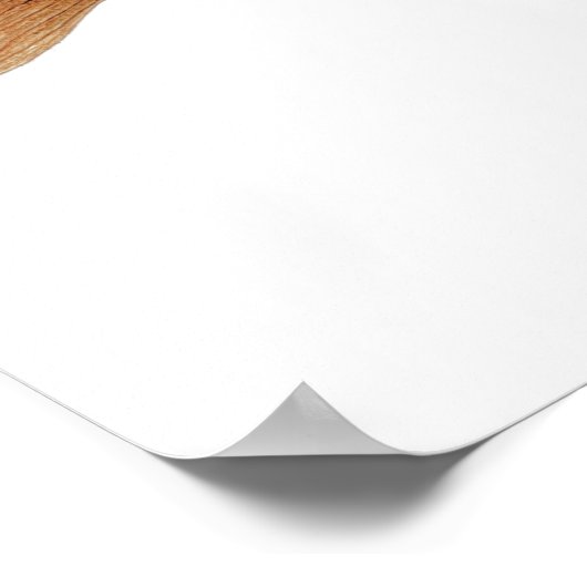 3 Forel- en zalmkunst Poster (Hoek)