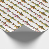 3 Forel Vliegvissen Cadeaupapier (Hoek)