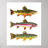 3 forel voor vissers en vissers poster (Voorkant)