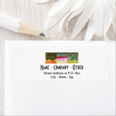 3 forelhuiden: brak, regenboog, bruin - vliegen etiket (Insitu)