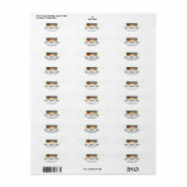 3 forelhuiden: brak, regenboog, bruin - vliegen etiket (Full Sheet)