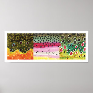 3 forelhuiden: brak, regenboog, bruin - vliegen poster