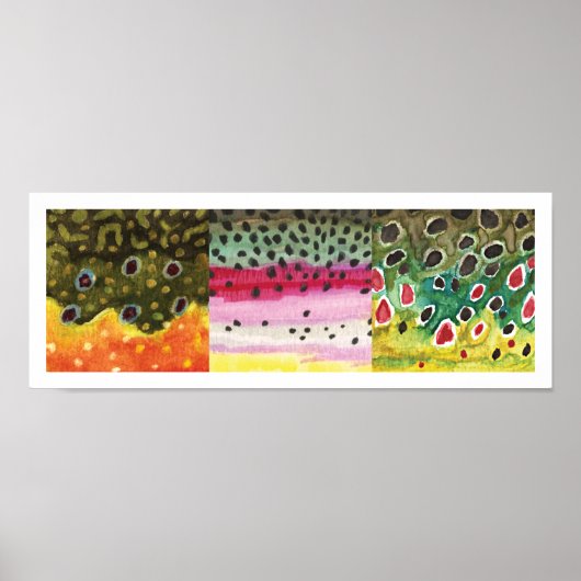 3 forelhuiden: brak, regenboog, bruin - vliegen poster (Voorkant)