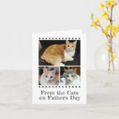 3 Foto bijtend bij katten Dog Pet Kinder Vaderdag Kaart (Gele Bloem)