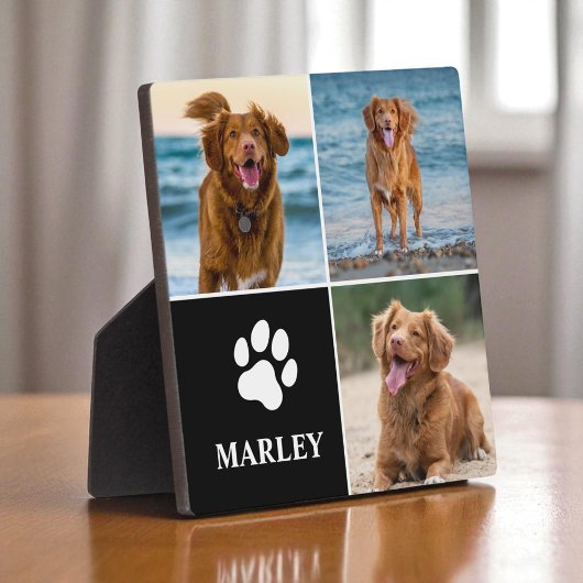 3 Foto Collage Hond Liefhebber Huisdieren Modern Fotoplaat