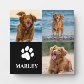 3 Foto Collage Hond Liefhebber Huisdieren Modern Fotoplaat (Voorkant)