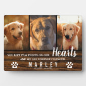 3 Foto Collage Rustic Pet Loss Memorial Fotoplaat (voorkant)