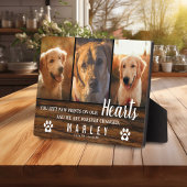 3 Foto Collage Rustic Pet Loss Memorial Fotoplaat