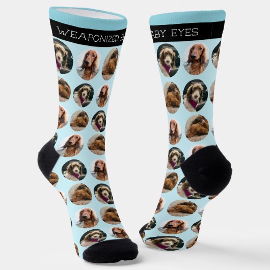 3 Foto Dachshund Crew Sokken (Gebogen)