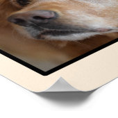 3 Foto Poster (Hoek)