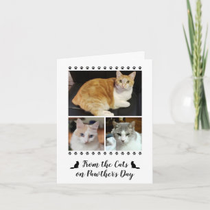3 Foto Script Van Kattenpapa Hond Dier Vaderdag Kaart