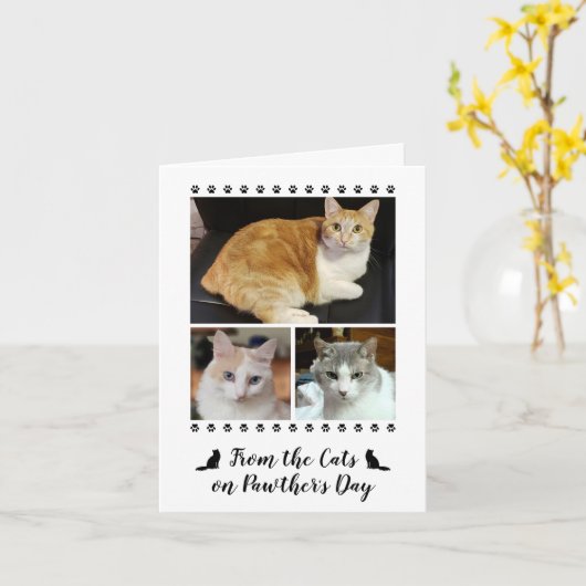 3 foto script van kattenvader hond huisdier vaderd kaart (Gele Bloem)