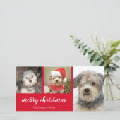 3 foto - Simply Red Holly - Prettig kerstfeest Feestdagenkaart (Staand voorkant)