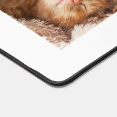 3 foto's Home is waar de kat wit is Bureaumat (Hoek)