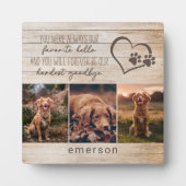 3 Foto's Rustig Huisdierverlies Fotoplaat (Voorkant)