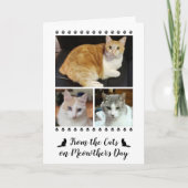 3 Fotoscript van Cat Dog Pet 5x7 Moederdag Kaart (Voorkant)