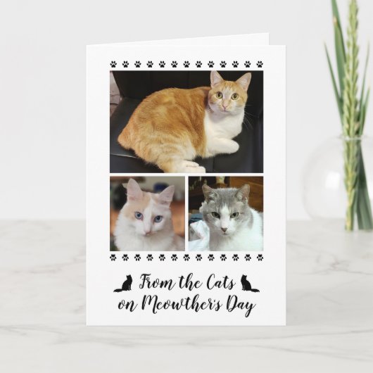 3 Fotoscript van Cat Dog Pet 5x7 Moederdag Kaart (Voorkant)