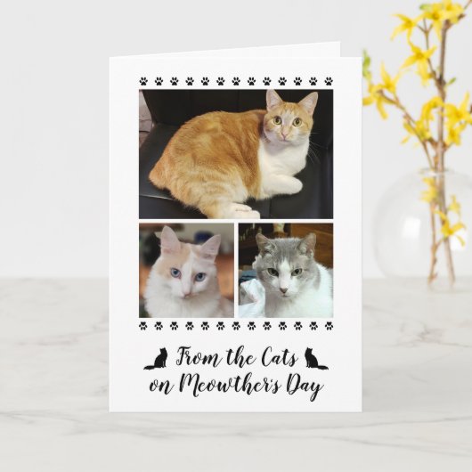 3 Fotoscript van Cat Dog Pet 5x7 Moederdag Kaart (Gele Bloem)