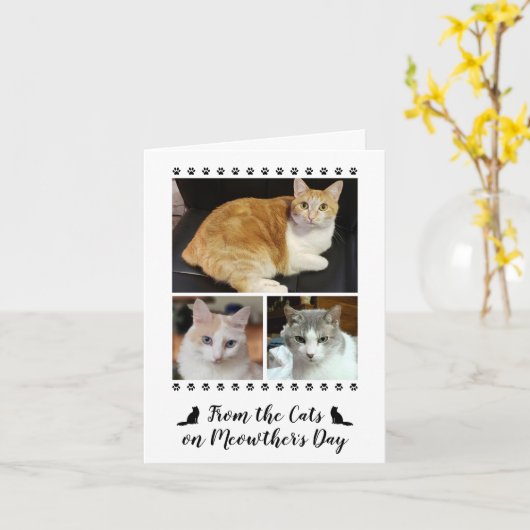 3 Fotoscript van Cat Dog Pet Kinder Moederdag Kaart (Gele Bloem)
