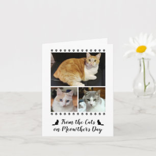 3 Fotoscript van Cat Dog Pet Kinder Moederdag Kaart