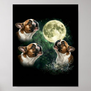 3 Franse bulldog huilt naar de maan vintage hoek Poster