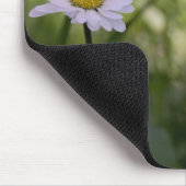 3 Gänseblümchen Muismat (Hoek)