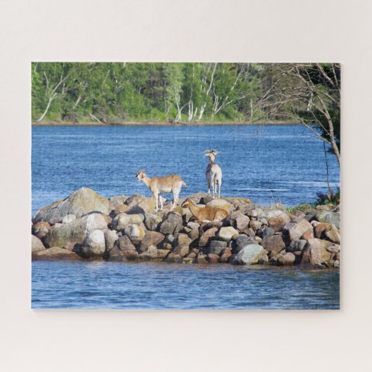 3 Geiten op Rotsen legpuzzel (Horizontaal)