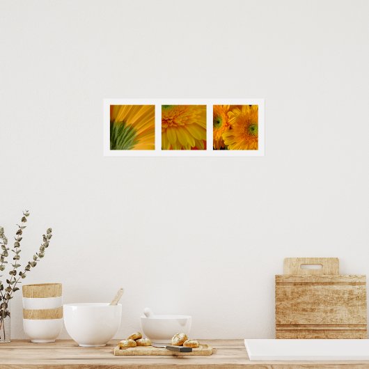 3 Gerberas Poster (Keuken)