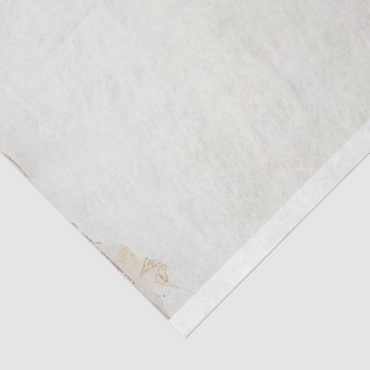 3 Giraffe Decoupage Papier Waterverf (Detail)