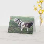 3 Goats wenskaart Verjaardag Kaart (Gele Bloem)