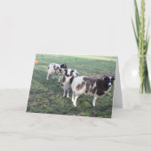 3 Goats wenskaart Verjaardag Kaart (Voorkant)