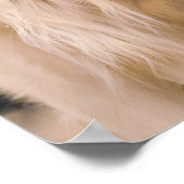 3 Golden Retrievers Poster (Hoek)