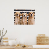 3 Golden Retrievers Poster (Keuken)