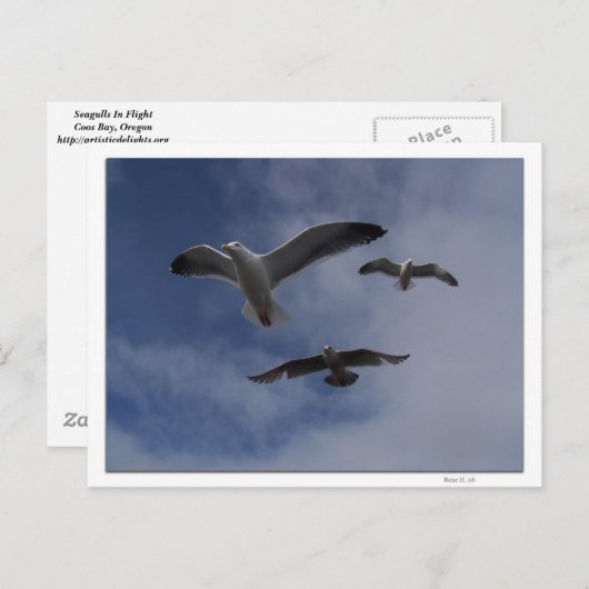 3 Golls Briefkaart (Voorkant / Achterkant)