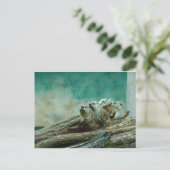 3 grappige otters op een mooie achtergrond van kle briefkaart (Staand voorkant)
